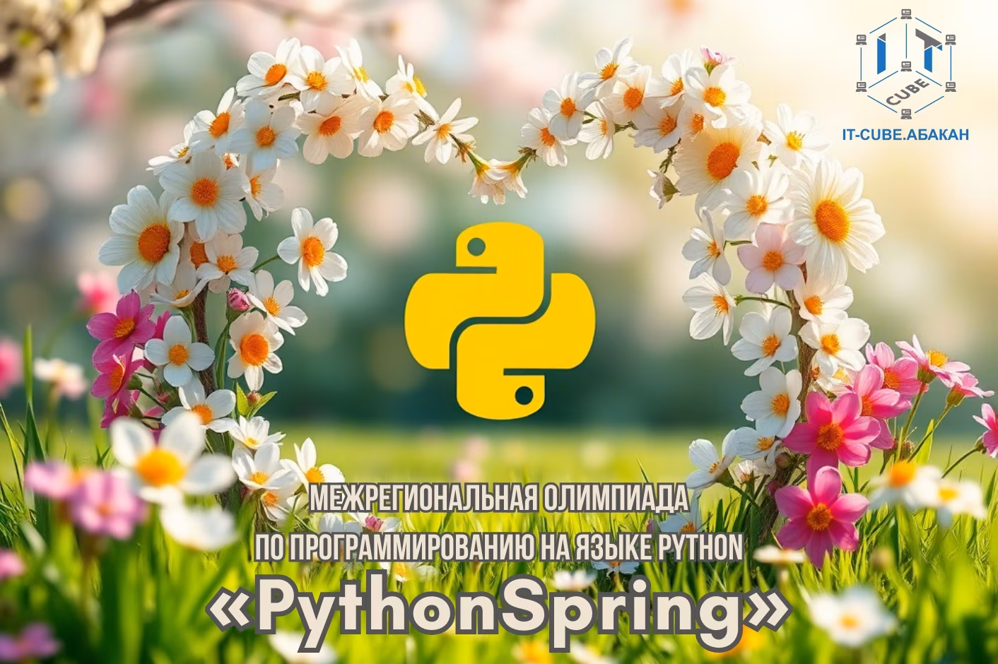 «PythonSpring»